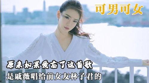 新如果爱忘了,探寻爱情记忆的奥秘与救赎