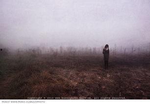 苍白天空,苍白天空下的沉思与启示