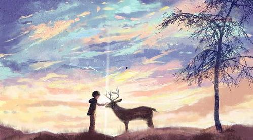 失爱之后她在废品堆里重构人生,失爱后的自我救赎之旅